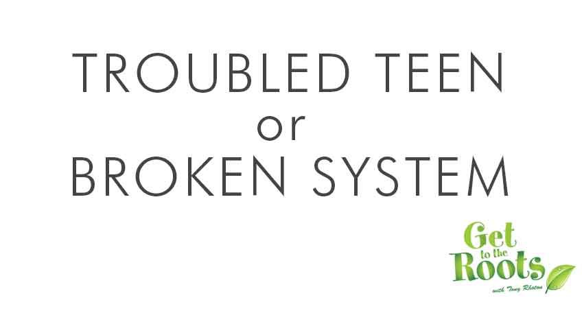 Troubled Teen or Broken System 1 Troubled Teen or Broken Family System